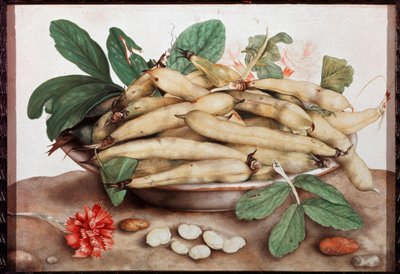 豆皿のある静物画 ジョヴァンナ・ガルゾーニ(1600-1670)の作品 17世紀のフィレンツェ。ピッティ宮殿 作： Giovanna Garzoni