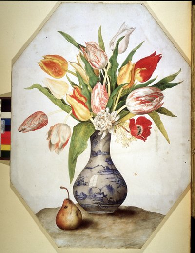 不明な画像 作： Giovanna Garzoni