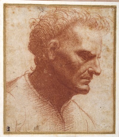 下を向いたひげのない男性の頭（紙に赤チョーク 作： Giovanni Agostino da Lodi