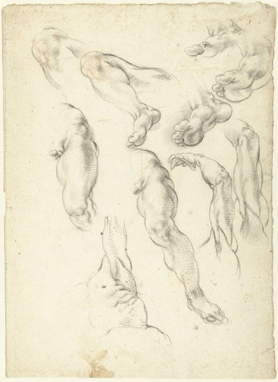手足付き学習シート 作： Giovanni Alberti