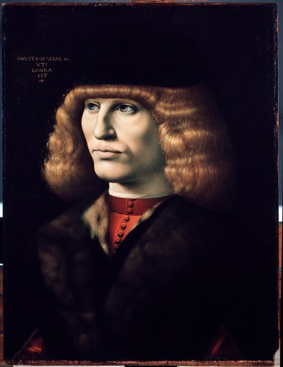 若い男の肖像」1495年頃（木に油彩 作： Giovanni Ambrogio de Predis