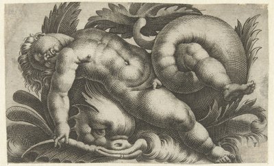 イルカに乗って眠るパット 海の生き物のプッチー（連載タイトル） 作： Giovanni Andrea Maglioli