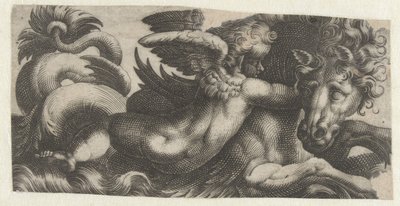 首にプットを巻いたタツノオトシゴ 海の怪物とフリーズ (シリーズ タイトル) 作： Giovanni Andrea Maglioli