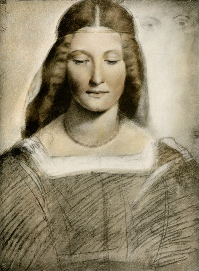 女性のポートレート 作： Giovanni Antonio Boltraffio