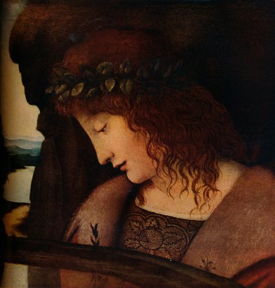 水仙、c1500 作： Giovanni Antonio Boltraffio