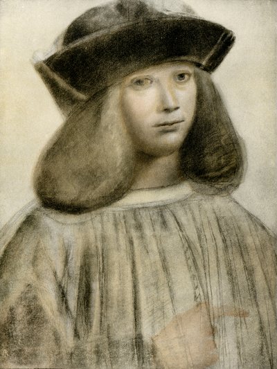 男の肖像 作： Giovanni Antonio Boltraffio