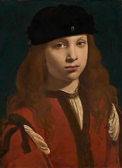 若者の肖像、c。 14951498。 作： Giovanni Antonio Boltraffio