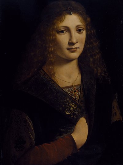 青年の肖像（ジローラモ・カシオ）1500年頃（木板に油彩 作： Giovanni Antonio Boltraffio