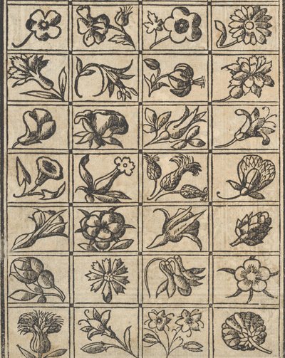recammi の例、10 ページ verso、1530。 作： Giovanni Antonio Tagliente