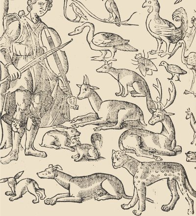 recammi の例、12 ページ verso、1530。 作： Giovanni Antonio Tagliente