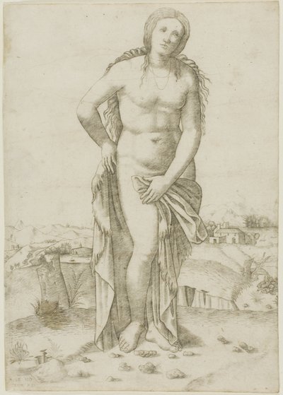 金星 作： Giovanni Antonio da Brescia