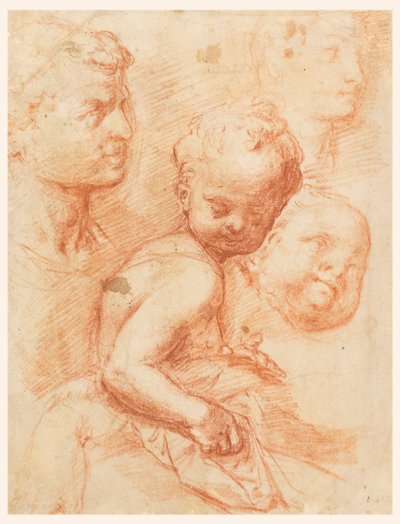 男性、女性、子供の頭、座っている子供の研究 作： Giovanni Battista Naldini