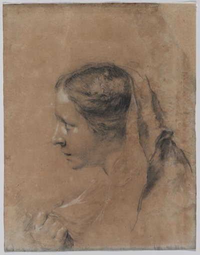 スカーフを持つ女性の横顔。 作： Giovanni Battista Piazzetta