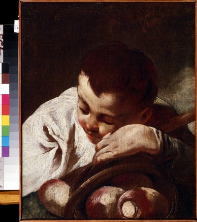 「小さな男の子の肖像」カブの上で眠っている子供。 Giovan Battista (Giambattista) Piazzetta (1683-1754) による絵画 18 世紀 Mikhail Kroshitsky Art Museum、Sevastopol (Sevastopol) ウクライナ 作： Giovanni Battista Piazzetta