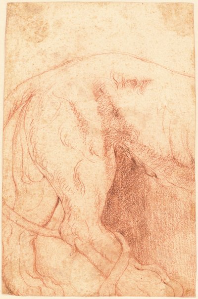 ライオン浅浮き彫りの断片 (裏面) 作： Giovanni Battista Piranesi