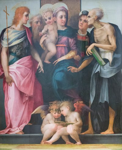 Madonna entronizada com santos, retábulo do hospital de Santa Maria Nuova 作： Giovanni Battista Rosso Fiorentino