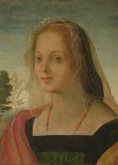 若い女の子の肖像（パネル上のテンペラ） 作： Giovanni Battista Rosso Fiorentino