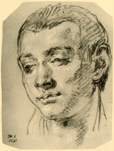 少年の頭、18世紀半ば、1928 作： Giovanni Battista Tiepolo