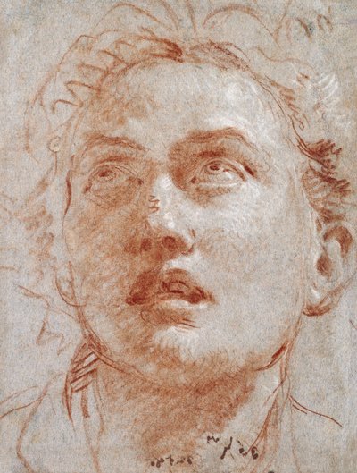 見上げる男の頭、 作： Giovanni Battista Tiepolo