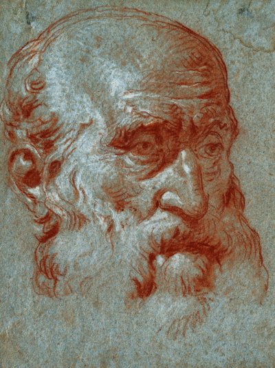 ベネチアの貴族の頭、4分の3の顔、 作： Giovanni Battista Tiepolo