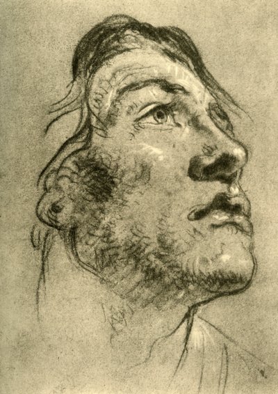 18世紀半ば、1928年、ほぼ横顔で見上げる若い男の頭 作： Giovanni Battista Tiepolo