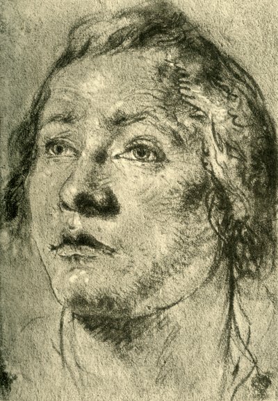 18世紀半ば、1928年の青年の頭 作： Giovanni Battista Tiepolo