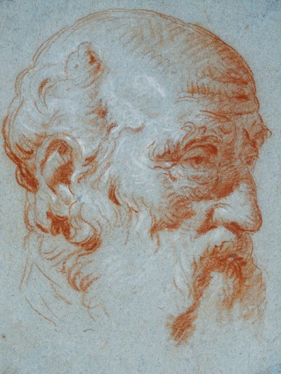 左から見たジュリオ・コンタリーニの胸像の研究 作： Giovanni Battista Tiepolo