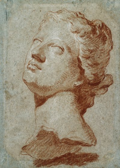 金星の頭部の研究、骨董品の後、 作： Giovanni Battista Tiepolo