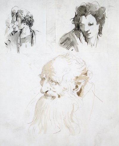 頭部に関する3つの研究（紙にペン、インク、ウォッシュ） 作： Giovanni Battista Tiepolo