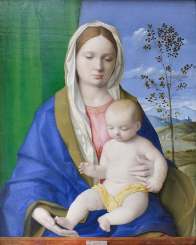 聖母子像 1500年頃 パネルに油彩 作： Giovanni Bellini