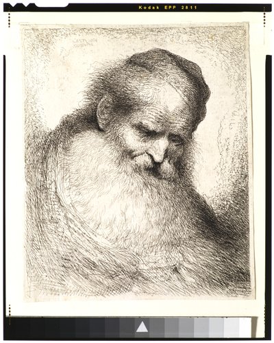 頭を前かがみにして頭蓋骨の帽子をかぶって右向きのひげを生やした老人 作： Giovanni Benedetto Castiglione