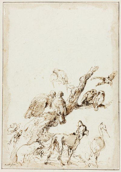 枯れ木の周りの鳥や動物 作： Giovanni Benedetto Castiglione