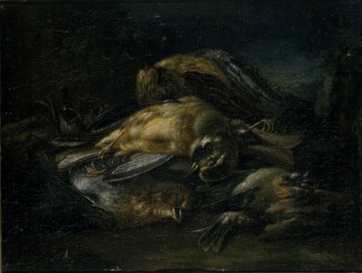 死んだ鳥、1664 作： Giovanni Benedetto Castiglione