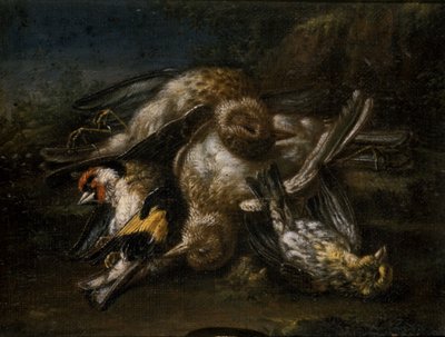 死んだ鳥（シナノキの木の油） 作： Giovanni Benedetto Castiglione