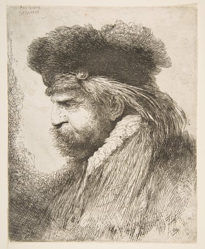 ラージオリエンタルヘッドシリーズから、左を向いた老人の頭。 1645-50。 作： Giovanni Benedetto Castiglione