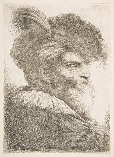 ラージオリエンタルヘッドシリーズから、右を向いた老人の頭。 1645-1650。 作： Giovanni Benedetto Castiglione