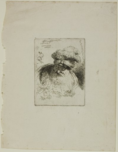 ターバンを巻いた老人 作： Giovanni Benedetto Castiglione