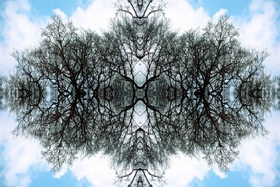Unnatural 100（デジタル処理された写真 作： Giovanni Cafagna