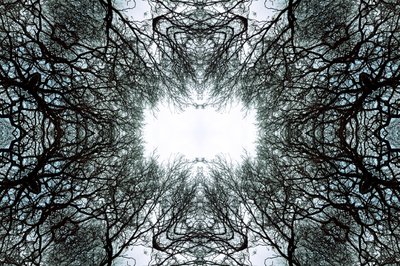 Unnatural 101（デジタル加工された写真 作： Giovanni Cafagna