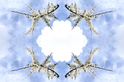 Unnatural 115（デジタルで加工された写真 作： Giovanni Cafagna