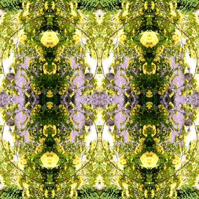 不自然な150（デジタルで加工された写真 作： Giovanni Cafagna