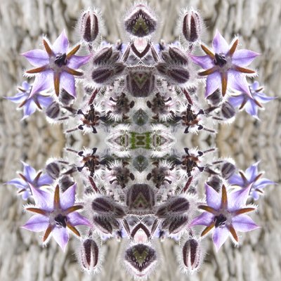 Unnatural 159（デジタルで加工された写真 作： Giovanni Cafagna