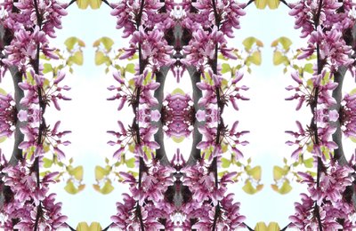 Unnatural 160.3（デジタル処理された写真 作： Giovanni Cafagna