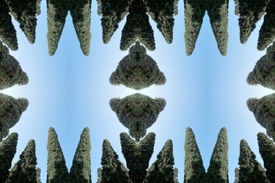 Unnatural 169（デジタルで加工された写真 作： Giovanni Cafagna