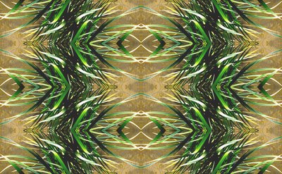 Unnatural 16（デジタル処理された写真） 作： Giovanni Cafagna