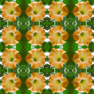 Unnatural 171.1（デジタル処理された写真 作： Giovanni Cafagna