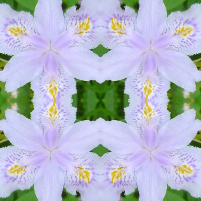 Unnatural 174（デジタル処理された写真 作： Giovanni Cafagna