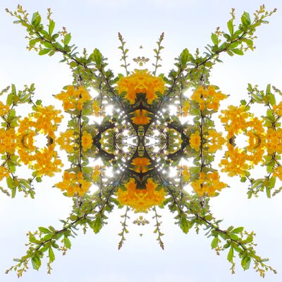 Unnatural 175（デジタル処理された写真 作： Giovanni Cafagna