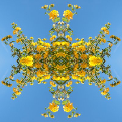 不自然な193（デジタルで加工された写真 作： Giovanni Cafagna