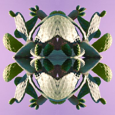 Unnatural 196（デジタル処理された写真 作： Giovanni Cafagna
